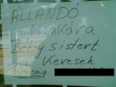 20131204_sister.jpg